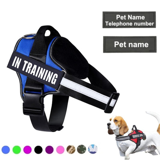 Personalized No-Pull Dog Harness